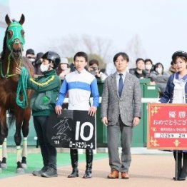 【橘の日曜競馬コラム・東西２重賞】