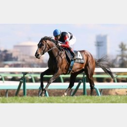 湾岸Sを勝ってオープン入り