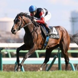 【札幌本紙・新居の日曜札幌11Ｒ】