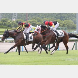 田中は前回②着のアウクソー推し(赤帽)