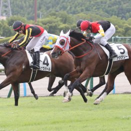 【レスキュー隊の日曜競馬コラム・中京12Ｒ】