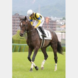 高い能力を秘める
