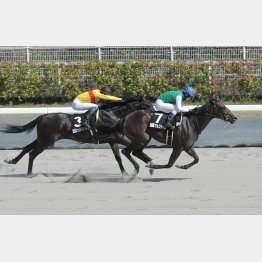 中京で桶狭間Ｓ勝ち