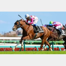 ３勝クラスは一発で突破した