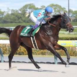 【東海Ｓ】ヤマニンウルスが復活勝利