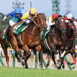 【関屋記念】牝馬カナテープが重賞初制覇