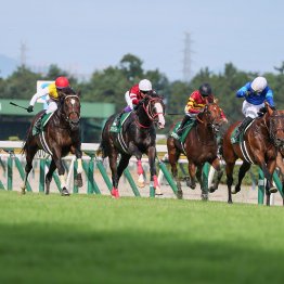 開幕週でヌレイエフの血が生きた関屋記念