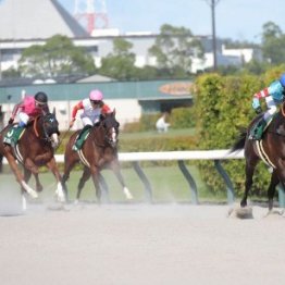 【東海Ｓ】圧勝で１年ぶりの重賞Ｖ　復活ヤマニンウルス次走の信頼性は