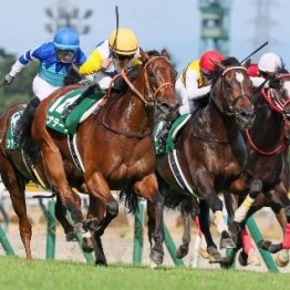 【関屋記念】今週もキング姐さん　カナテープ重賞初Ｖ