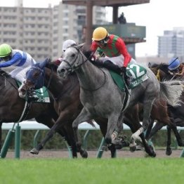 【クイーンＳ】勢いの３歳馬が経験豊富な古馬に挑む