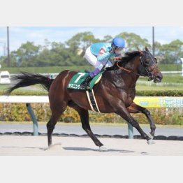 勝ち時計は良馬場で千四1分22秒2