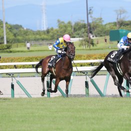 先週からの競走時間帯の拡大で起きていたさまざまな売り上げの逆転現象