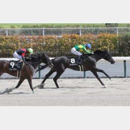 濃尾特別でダート３勝目