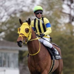 【武田の土曜競馬コラム・柳都Ｓ】