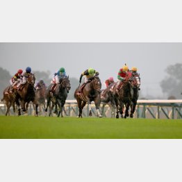 昨秋の京王杯2歳SではのちのGⅠ馬の②着