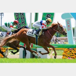 連勝を狙う