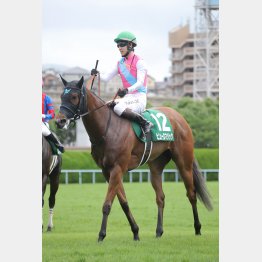 瞬発力はナンバーワン