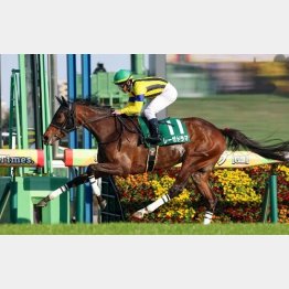 フラワーC勝ちの千八で反撃だ