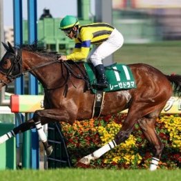 【市川の日曜競馬コラム・クイーンＳ】