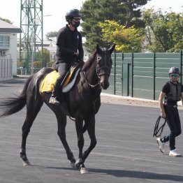 【木津の日曜競馬コラム・クイーンＳ】