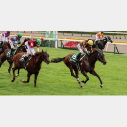 昨年V以来となる重賞4勝目を狙う
