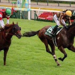 【大谷の日曜競馬コラム・アイビスサマーダッシュ】