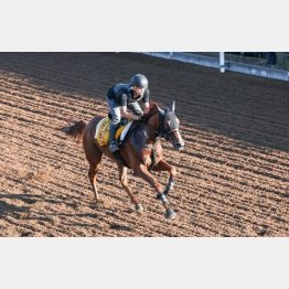 今週は坂路で１Ｆ11秒５
