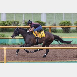 雄大なストライドで1F12秒2