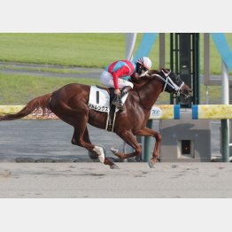 中京では勝ち鞍もある