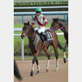 得意の中京でオープン初勝利だ
