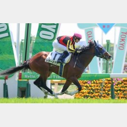 前走は好位から楽に抜け出して初勝利
