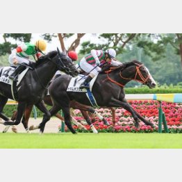 初勝利も新潟だった
