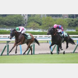 昨年の北九州記念で重賞２勝目