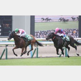 北九州記念で重賞2勝目