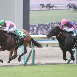【アイビスサマーダッシュ】ピューロマジック初参戦ルメールで盤石です