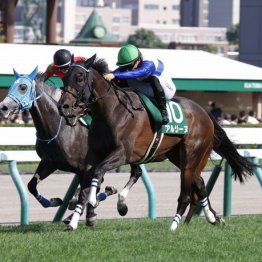 【クイーンＳ】アルジーヌが人気に応えて重賞２勝目