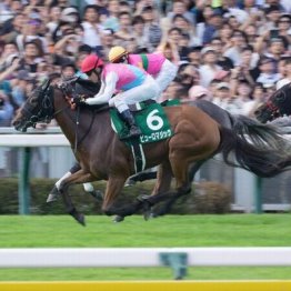 【アイビスＳＤ】ピューロマジックが馬場の真ん中から抜け出す