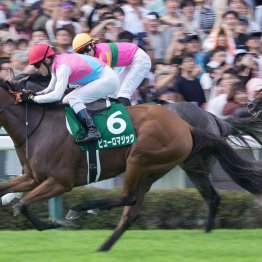 全兄同様、初の新潟千直でＶのピューロマジックは次戦が試金石