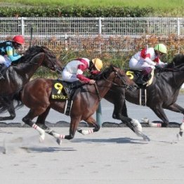 【名鉄杯】伏兵マリオロードが押し切り