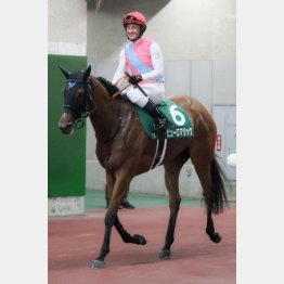 ①着ピューロマジック（ルメール騎手）「スピードをたくさん持っている馬で、このタイプはフランスで慣れていました」