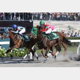 22年はマリーンS勝ちの9番人気フルデプスリーダーがV