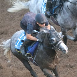 【ＣＢＣ賞】ヤマニンアルリフラ重賞連勝狙える