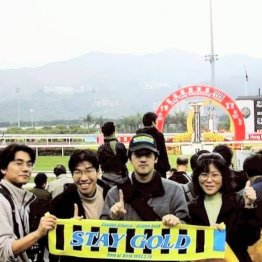 〈114〉私の大好きな一頭でもあるステイゴールドが縁を結んだお話（２）