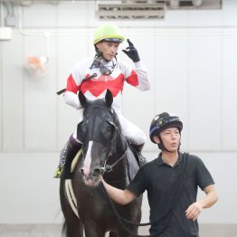バデルは外国人ジョッキーには数少ない好配当メーカー