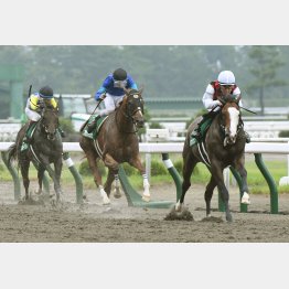 20年は7番人気ケンシンコウがレコードV
