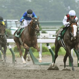 【レパードＳ】データ作戦　逃げるが勝ち！？　伏兵が何度も好走