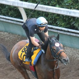 【ＣＢＣ賞】千二では準パーフェクト　ジューンブレア初重賞取り