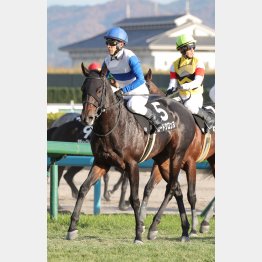 小回りなら強気に攻める