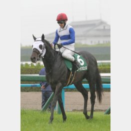 前走は勝ち馬以上のレート