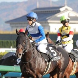 【市川の土曜競馬コラム・エルムＳ】